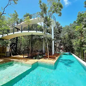 new-house-with-private-pool-in-the-jungle-of-tulum.tulum-hotels.net/
