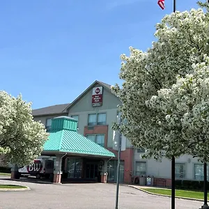 best-western-plus-travel-hotel-toronto-airport.niagara-fallshotels.com/